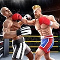 Tag Team Boxing Game 8.7  Unlimited Gold, Unlock Characters, Remove Ads
